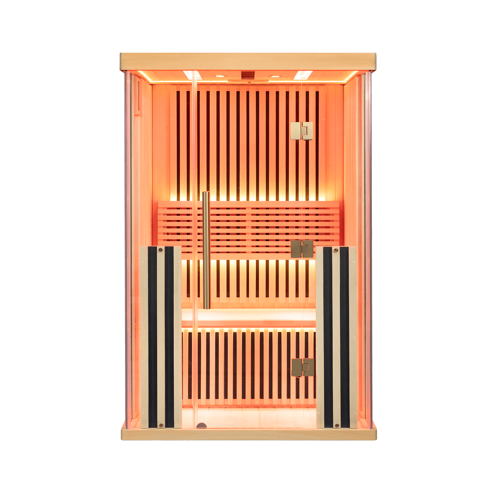 V2 PRO
